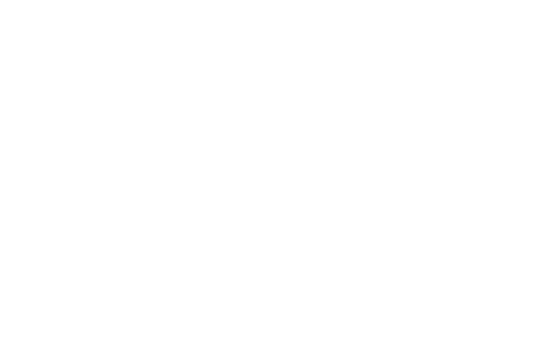 MeetSite logo blanco